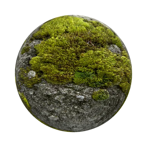 gray concrete with light green moss — stone PBR material preview