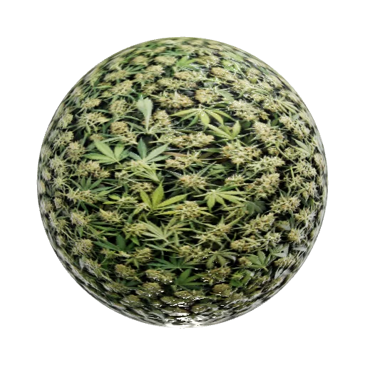 Материал из травы марихуанны — seamless organic PBR material preview