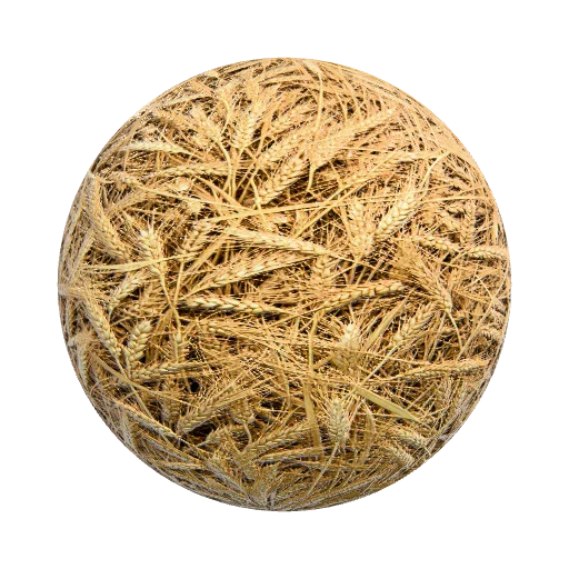 wheat — organic PBR material preview