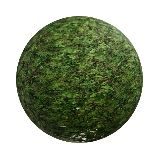 Lush forest moss with morning droplets — seamless organic PBR material preview