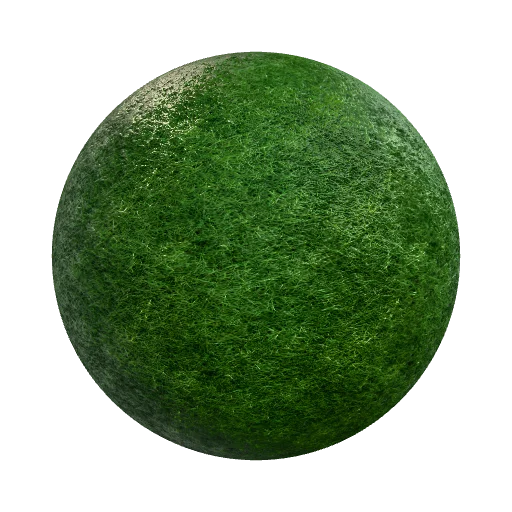 grass side overlay — seamless organic PBR material preview