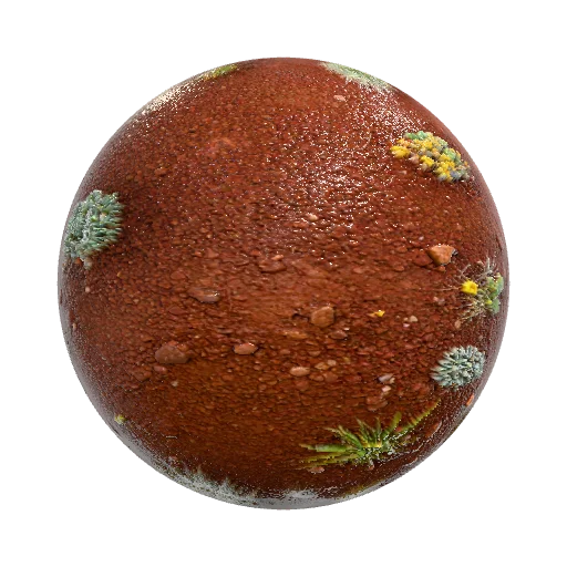 земля с оттенком ржавчины и редкими не высокими… — seamless ground PBR material preview