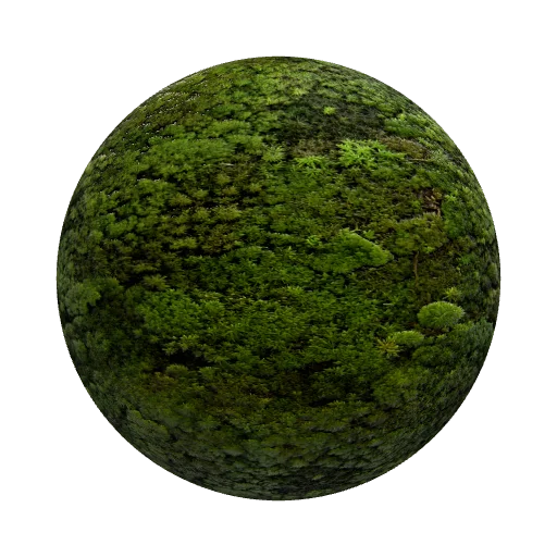 Stylize moss — seamless organic PBR material preview