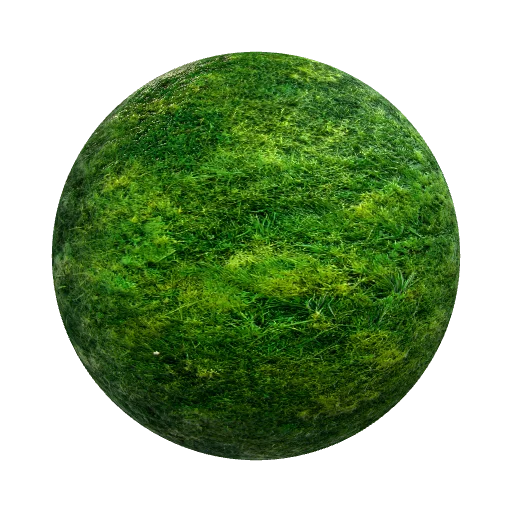 1K Seamless / Tileable Base Color Normal Roughness… — organic PBR material preview