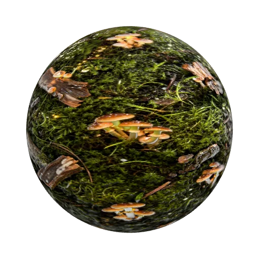A seamless PBR texture map of an enchanted forest… — organic PBR material preview