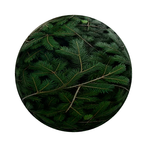 Dense mass of dark coniferous branches and pine needles… — organic PBR material preview