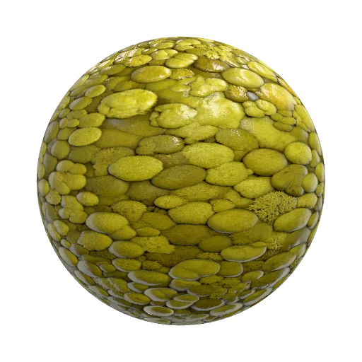 Seamless square top-down stylized moss texture, only… — seamless organic PBR material preview