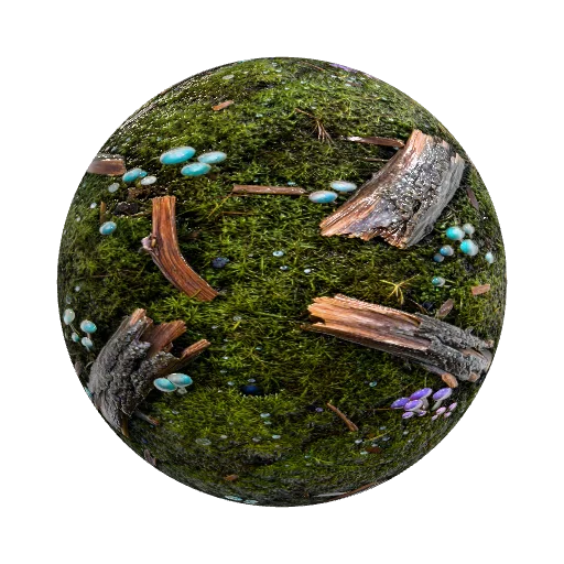 A seamless PBR texture map of an enchanted forest… — organic PBR material preview