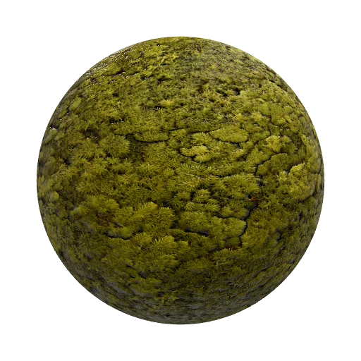 Seamless top-down stylized creeping rock moss texture… — seamless organic PBR material preview