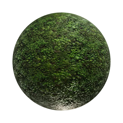 Lush forest moss with morning droplets — seamless organic PBR material preview