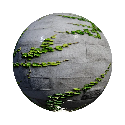 Weathered concrete blocks with climbing ivy vines, green leaves hugging raw grey cement, organic texture on industrial g — seamless stone PBR material preview