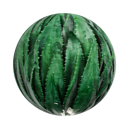 Wet dark green aloe vera with slight surface sheen — seamless organic PBR material preview