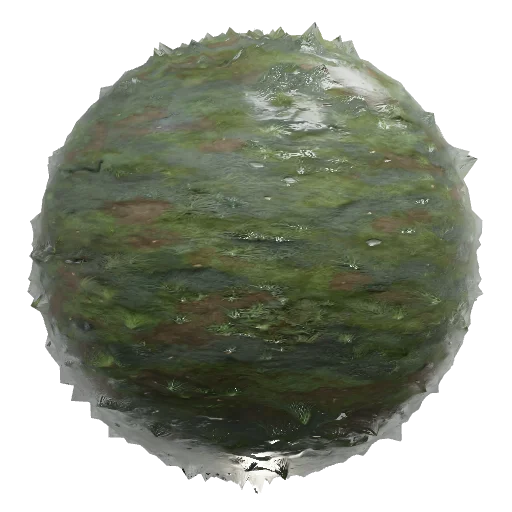 Stylized painterly fantasy grass terrain, hand-painted RTS game texture, muted
moss-green base with cool grey-green unde — seamless organic PBR material preview