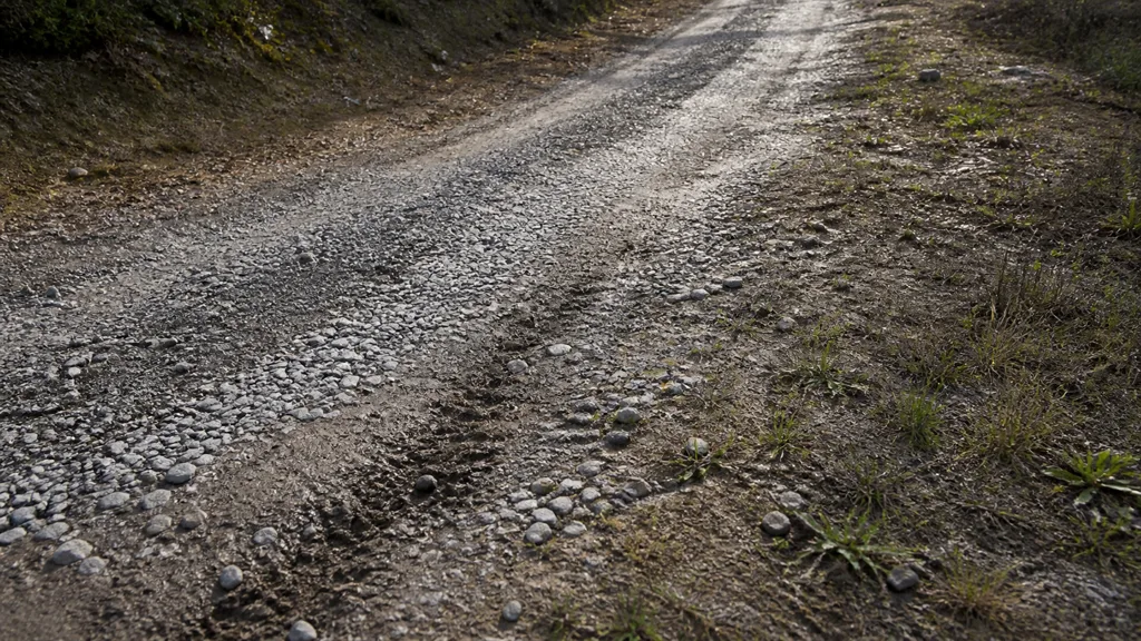 Gravel path transitioning into soil and sparse grass with loose stones beyond the compacted center and shallow damp wheel marks