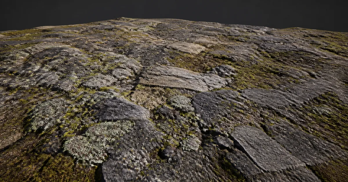 Wide rocky terrain covered with irregular moss, lichen, cracks, and stone variation under neutral grazing light